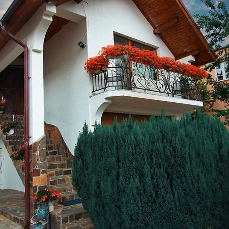Casa Ade Vila Ocna Şugatag Exterior foto
