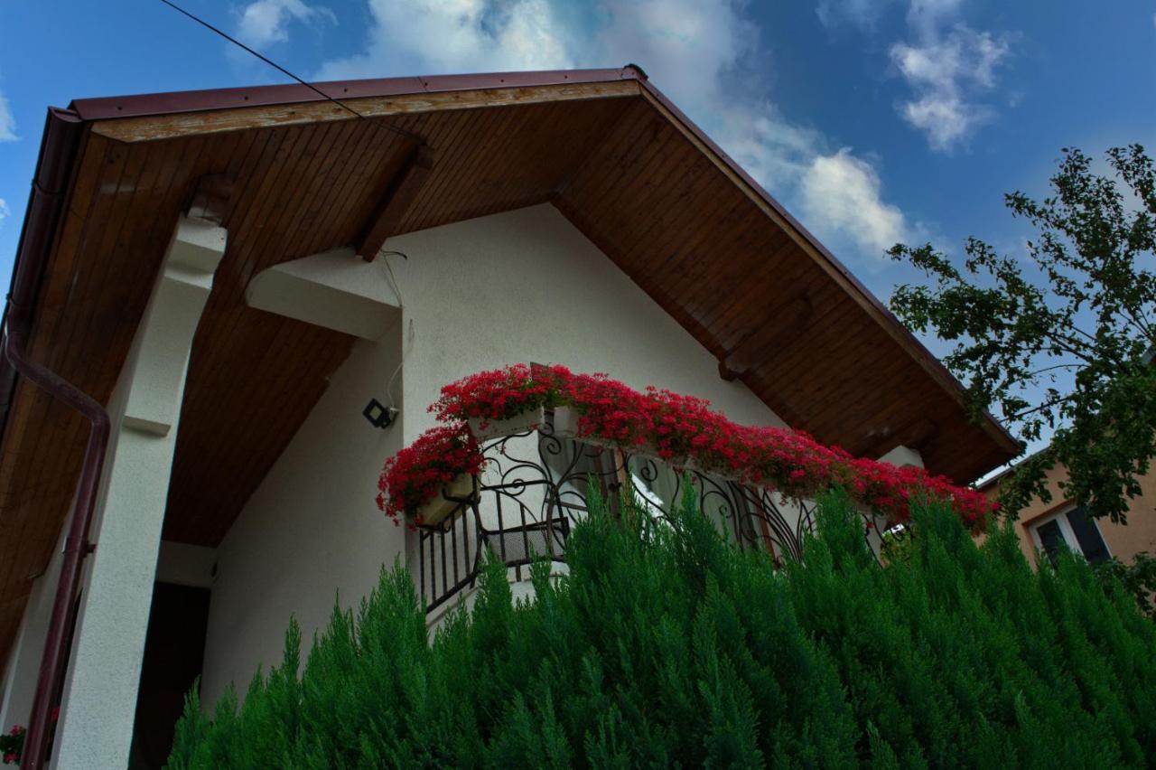 Casa Ade Vila Ocna Şugatag Exterior foto