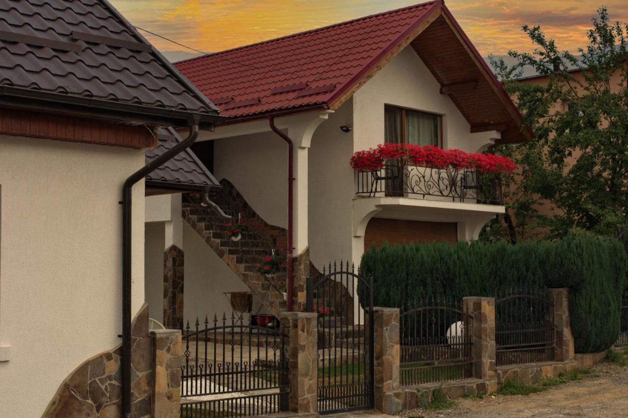 Casa Ade Vila Ocna Şugatag Exterior foto