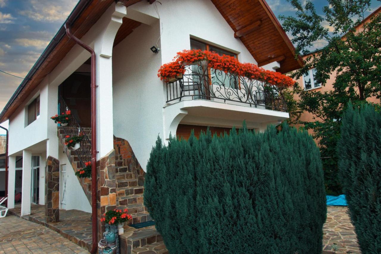 Casa Ade Vila Ocna Şugatag Exterior foto