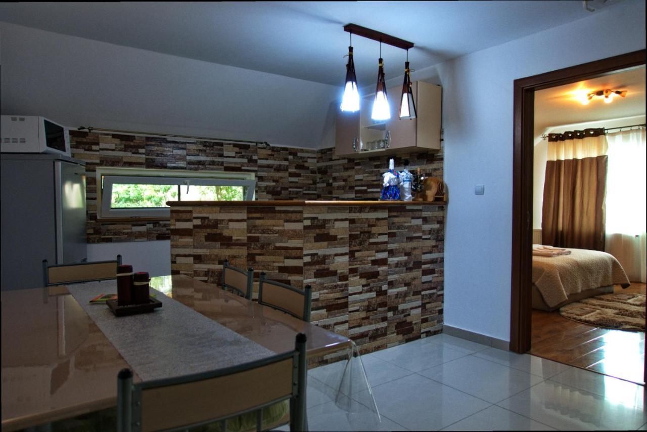 Casa Ade Vila Ocna Şugatag Exterior foto