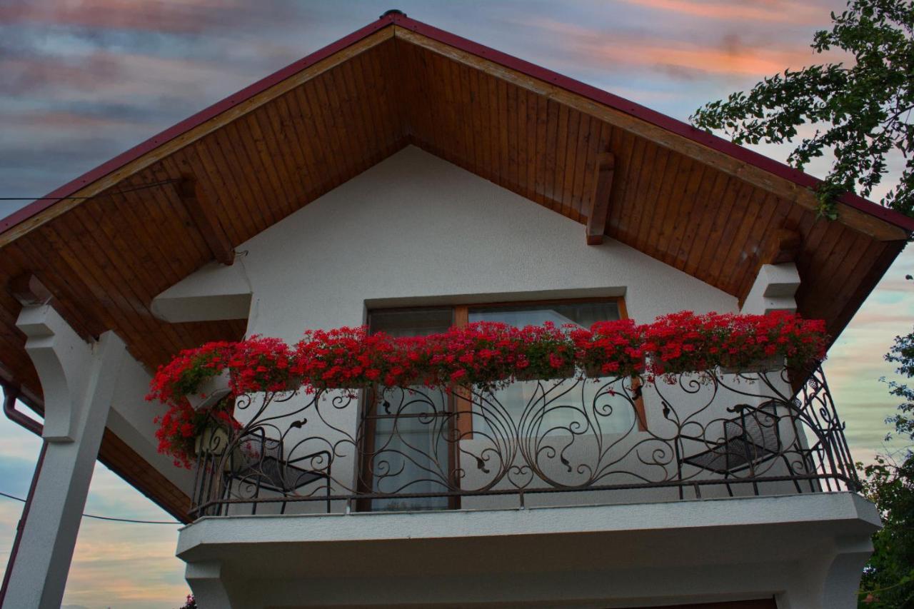 Casa Ade Vila Ocna Şugatag Exterior foto